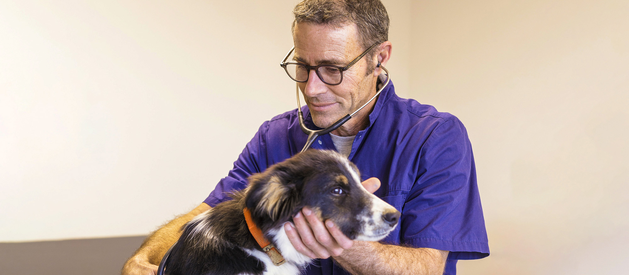 Devenir associé.e Fovéa