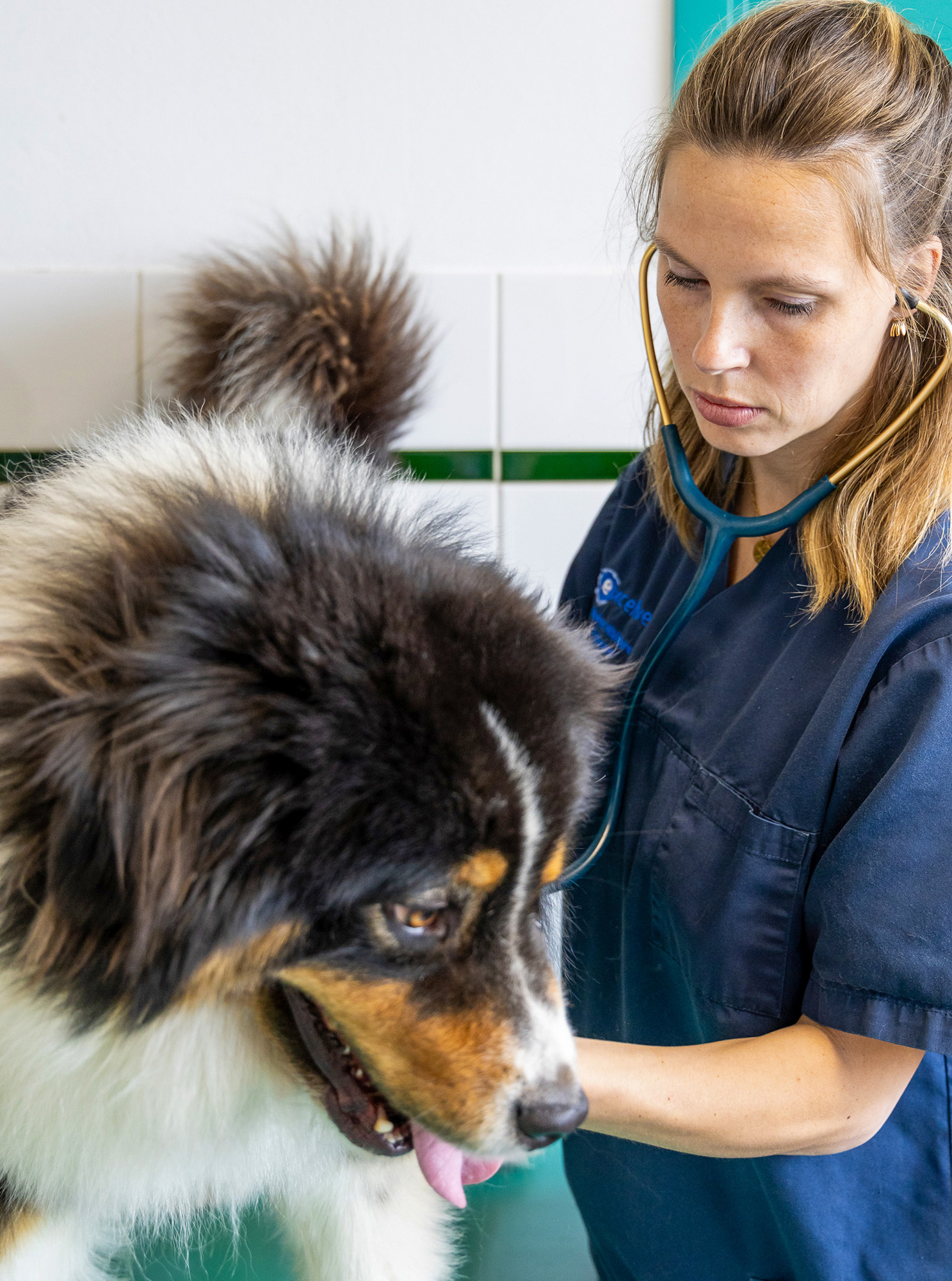 Une approche humaine et structurée du recrutement