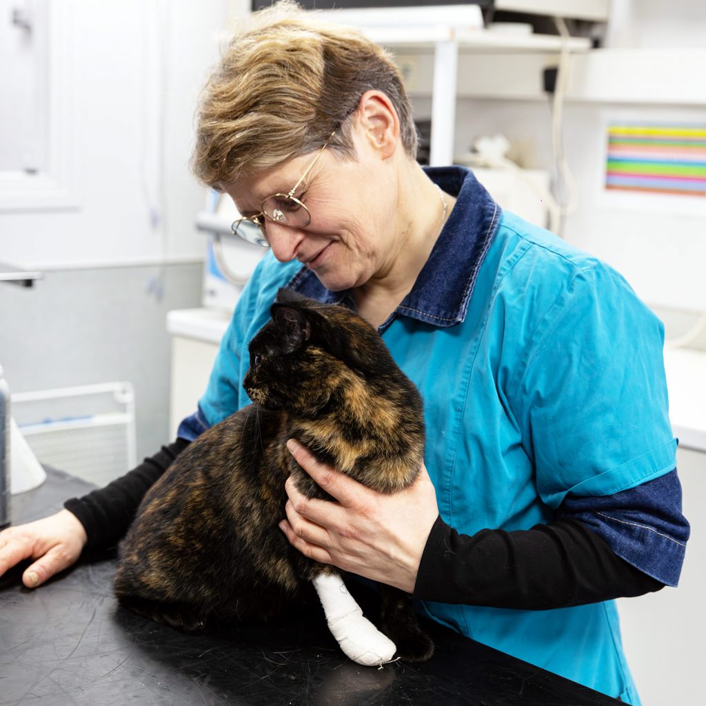 ASV clinique vétérinaire du Pont Gabriel à Blois