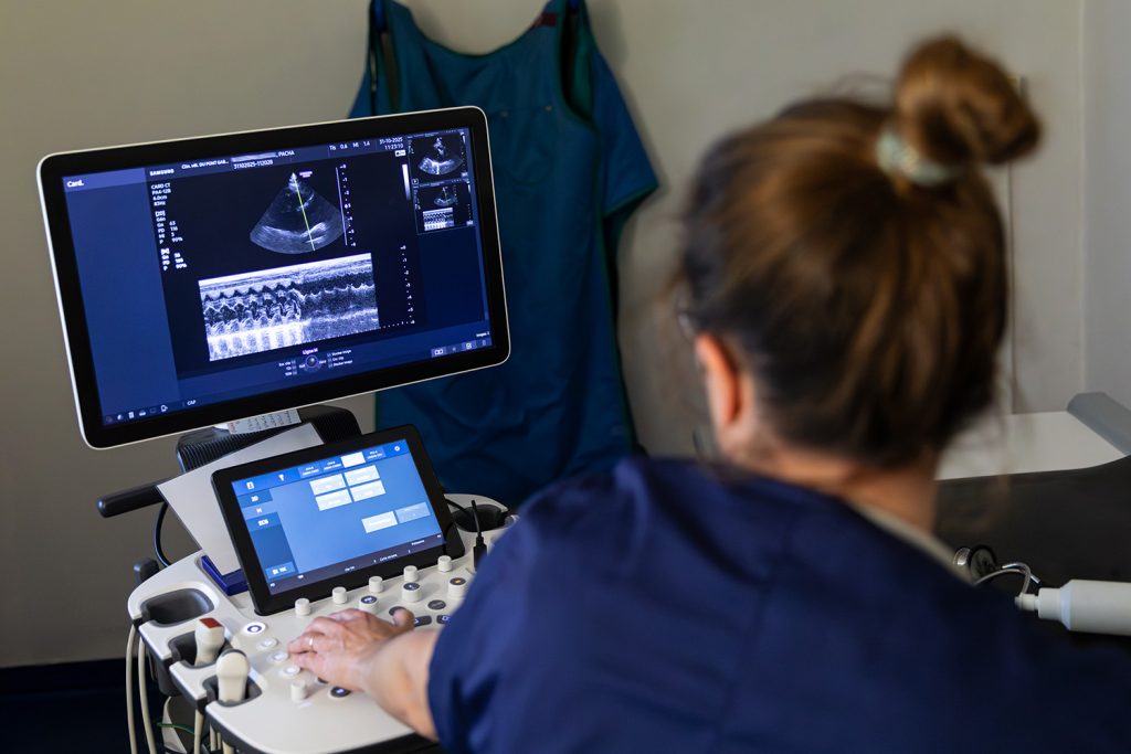 Imagerie médicale clinique vétérinaire du Pont Gabriel à Blois