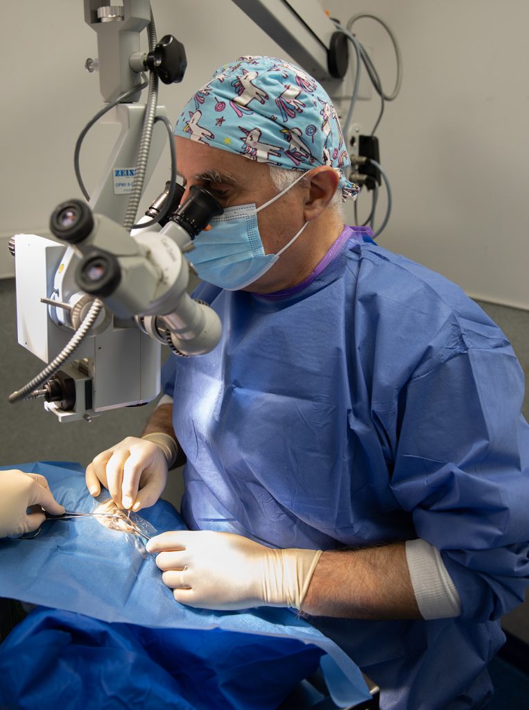 Chirurgie clinique vétérinaire du Pont Gabriel à Blois